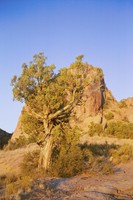 Highlight for album: Andrew's Album