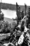 61 Horseshoe Lake B&W 06-07-27