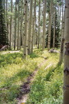 66 Aspen Path 06-07-28